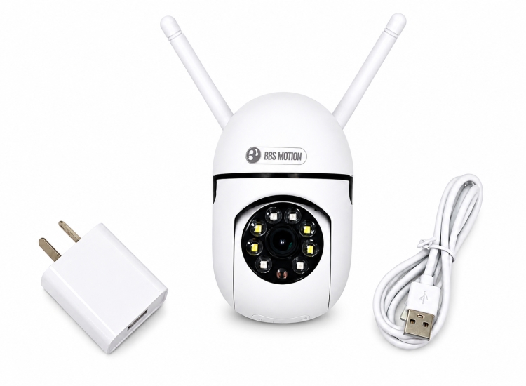 Camara IP Q21S